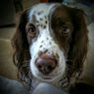 Meet your Posher, Clint